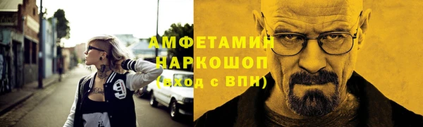 сатива Новозыбков