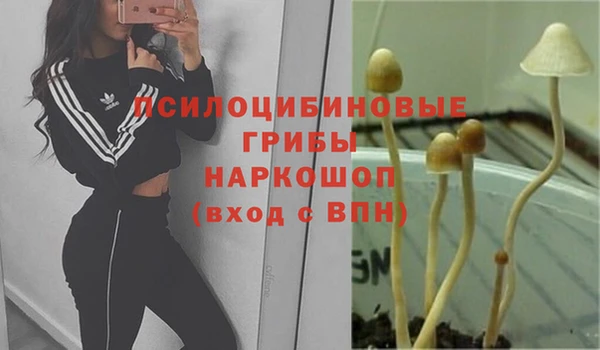 стафф Нея