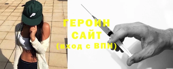 сатива Новозыбков