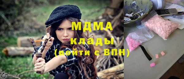 сатива Новозыбков