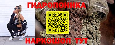 молекула духа Берёзовский