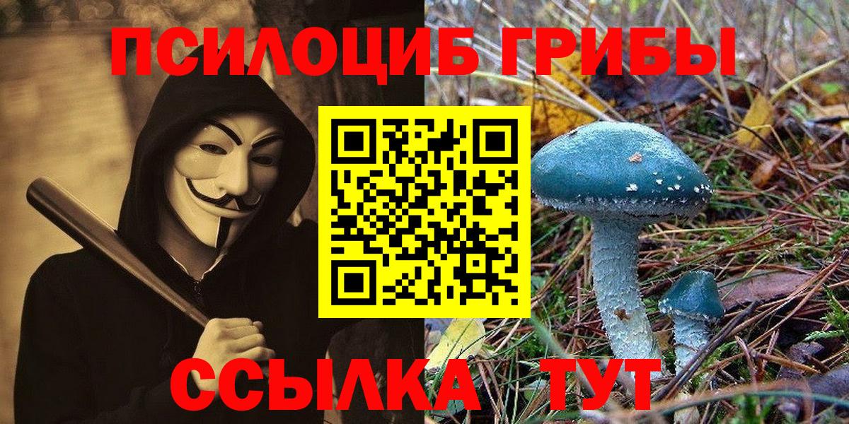 Галлюциногенные грибы Magic Shrooms  Вход с VPN  Лобня  Галлюциногенные грибы прущие грибы 